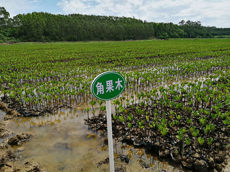 微信圖片_202009100934182-.jpg