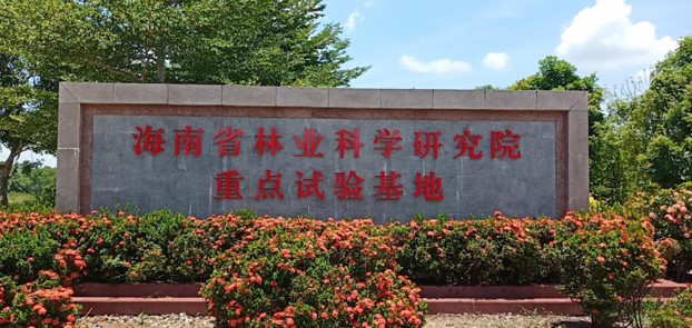 龍州.jpg