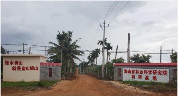 云龍基地.jpg