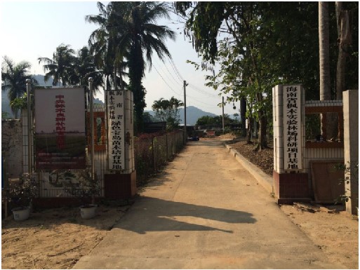 楓木苗圃.jpg