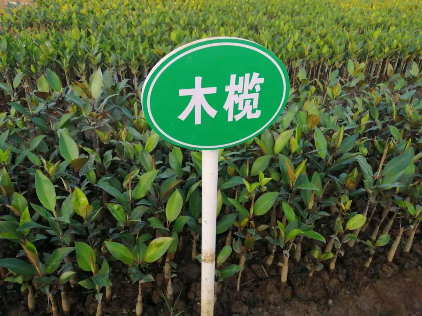 微信圖片_202012300955501.jpg